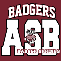 DP Badger Springs